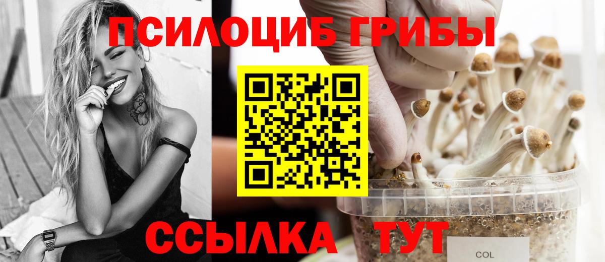 где найти   Галлюциногенные грибы Psilocybe  Вход с VPN  Усолье-Сибирское  Псилоцибиновые грибы прущие грибы 